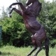 Mô hình ngựa phong thủy trang trí sân vườn Hút Tài Lộc