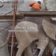 Công Trình Bầy Voi Khổng Lồ Nhựa Composite Đang Hoàn Thiện