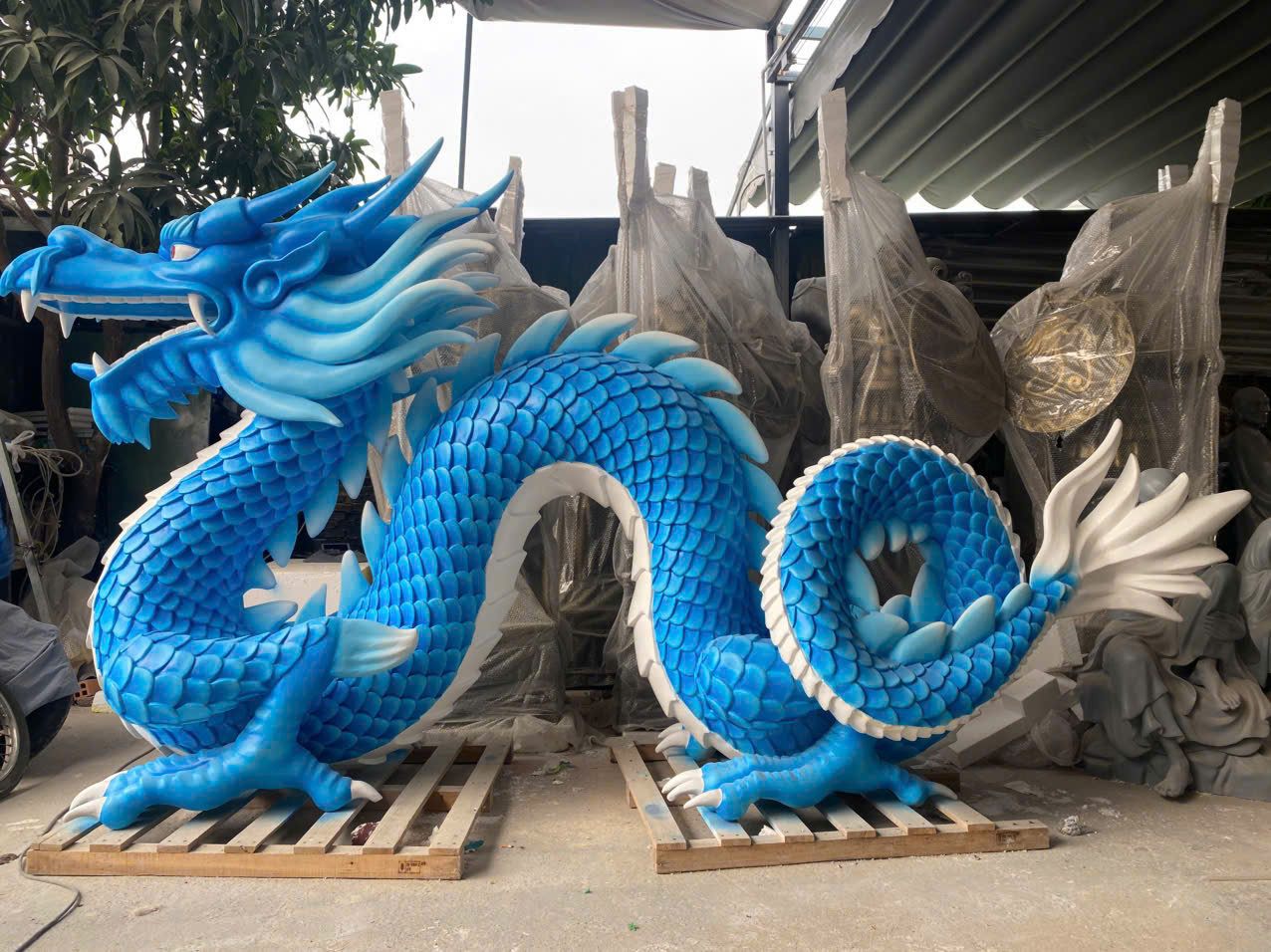 mo-hinh-rong-mut-xop