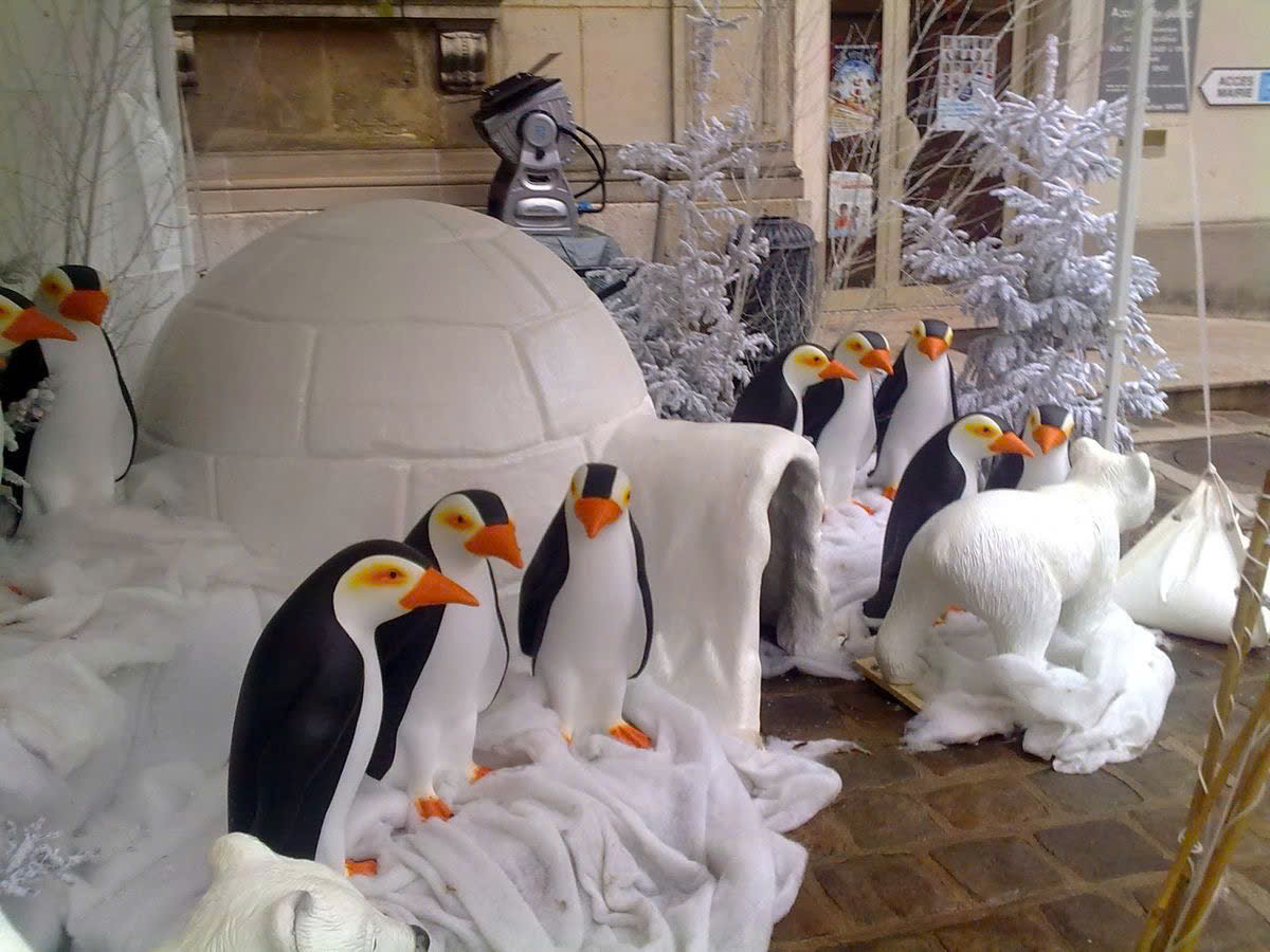 mo-hinh-chim-canh-cut-mut-xop